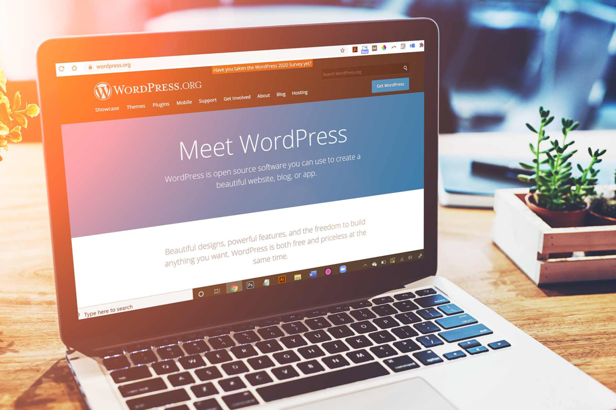 WordPress